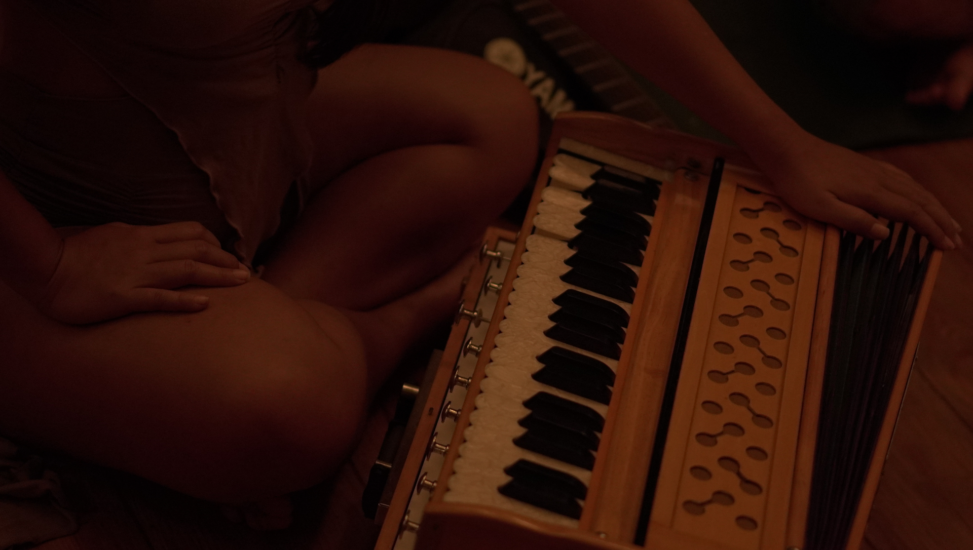 Harmonium closeup