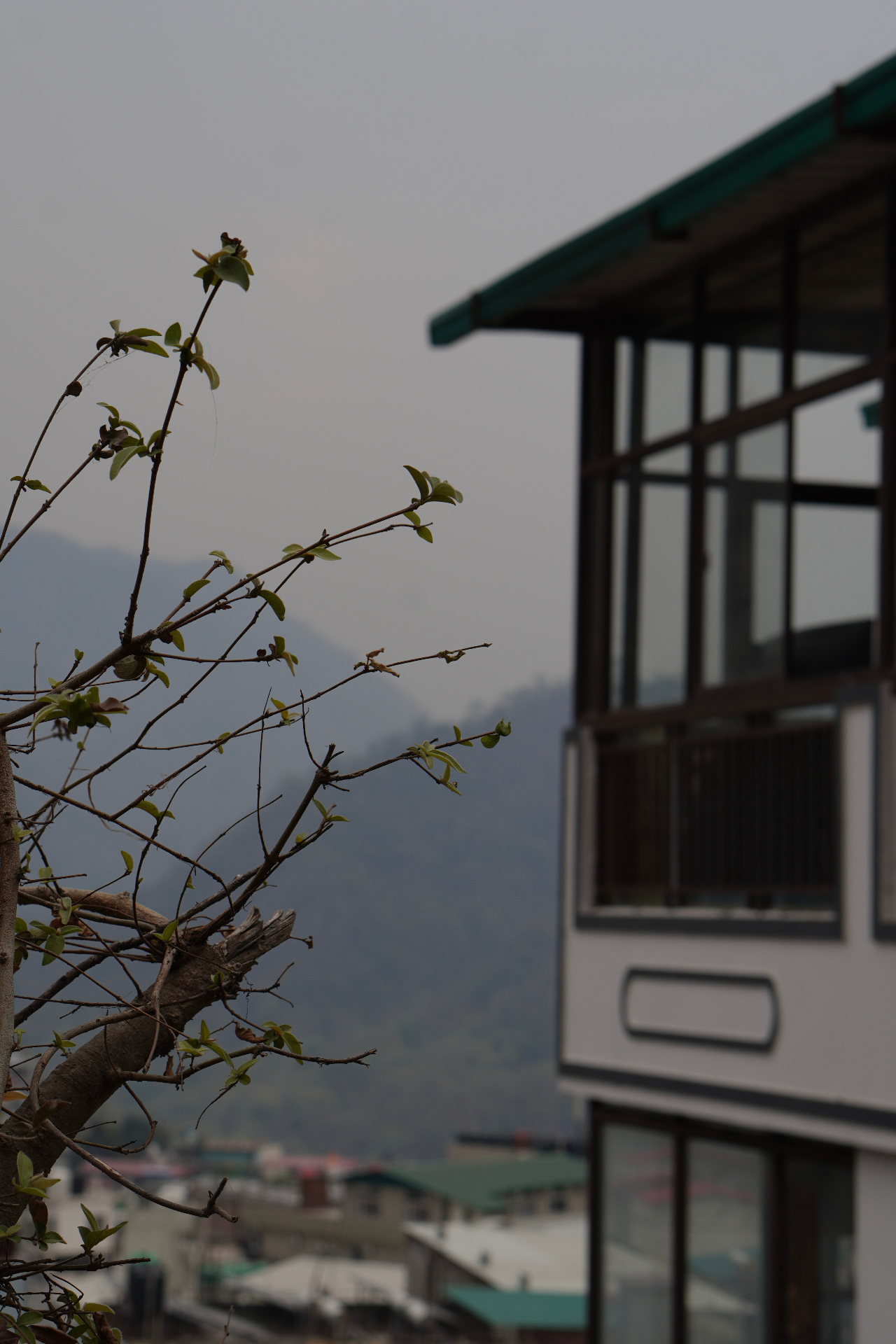 Aavya building with a mountain view